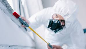 Best Pest Control for Multi-Family Homes  in Splendora, TX